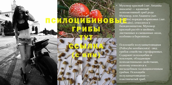 скорость Баксан