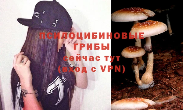 скорость Баксан