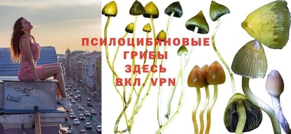 дурь Балабаново
