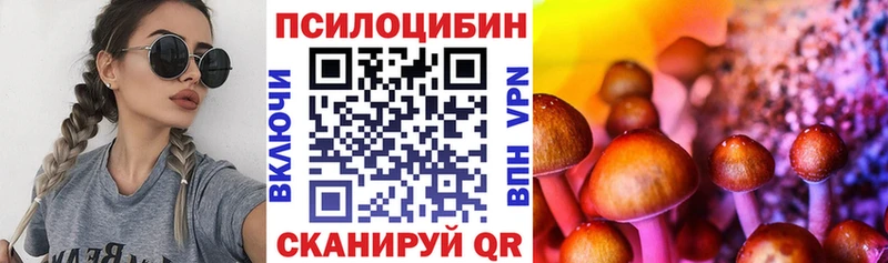 Псилоцибиновые грибы Psilocybe  Горячеводский 