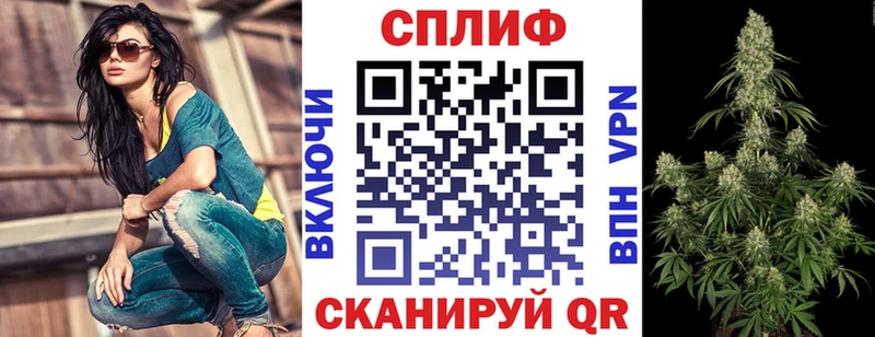 Бошки марихуана сатива  Горячеводский 